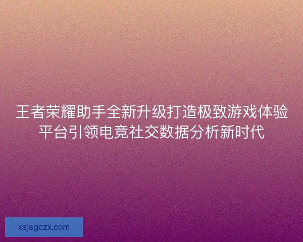 王者荣耀助手全新升级打造极致游戏体验平台引领电竞社交数据分析新时代