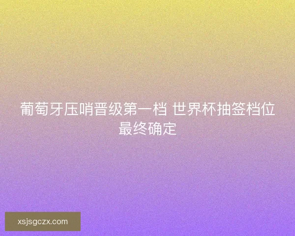 葡萄牙压哨晋级第一档 世界杯抽签档位最终确定